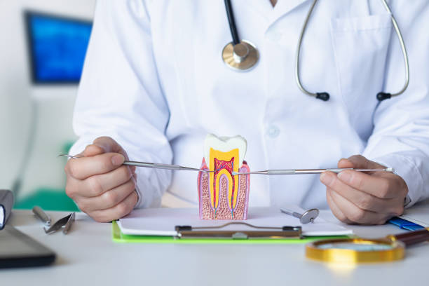 Best Dentist for Tooth Abscess  in Guntersville, AL